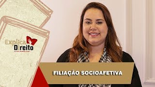 Explica Direito Filiação Socioafetiva  2019 [upl. by Ais]